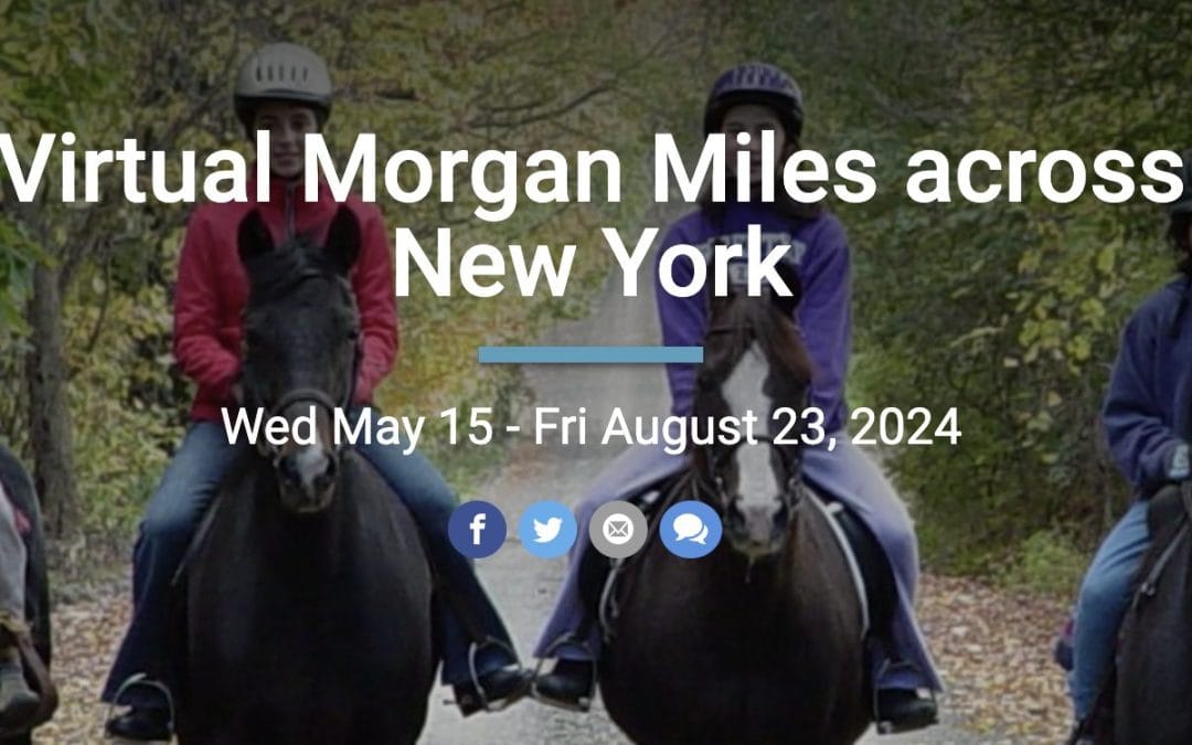 Morgan Miles Across New York for 2024